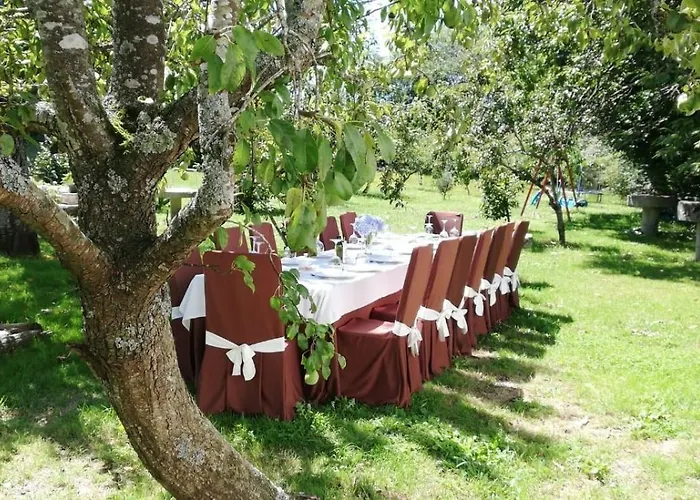 卡萨菊里奥酒店 酒店