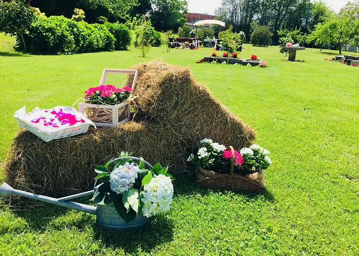 卡萨菊里奥酒店 酒店